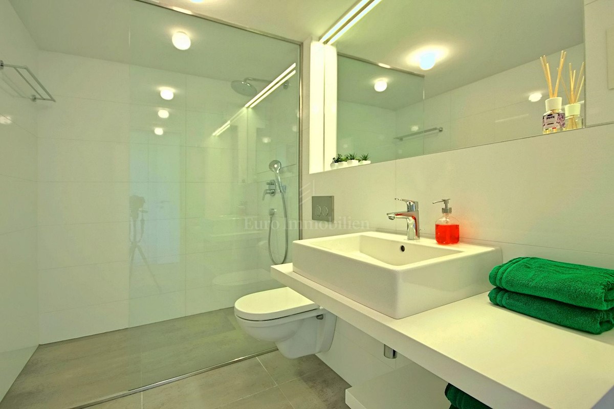 Predivna moderna villa s bazenom, Istra