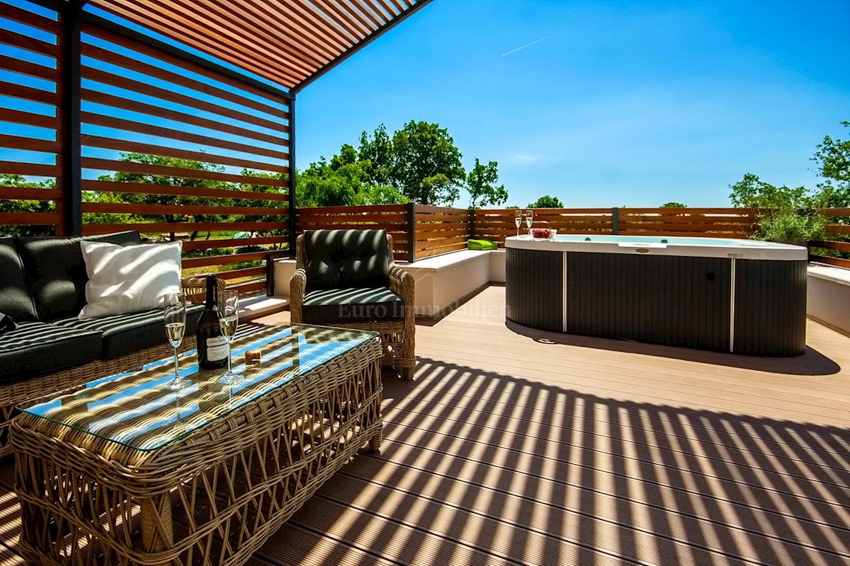 Predivna moderna villa s bazenom, Istra