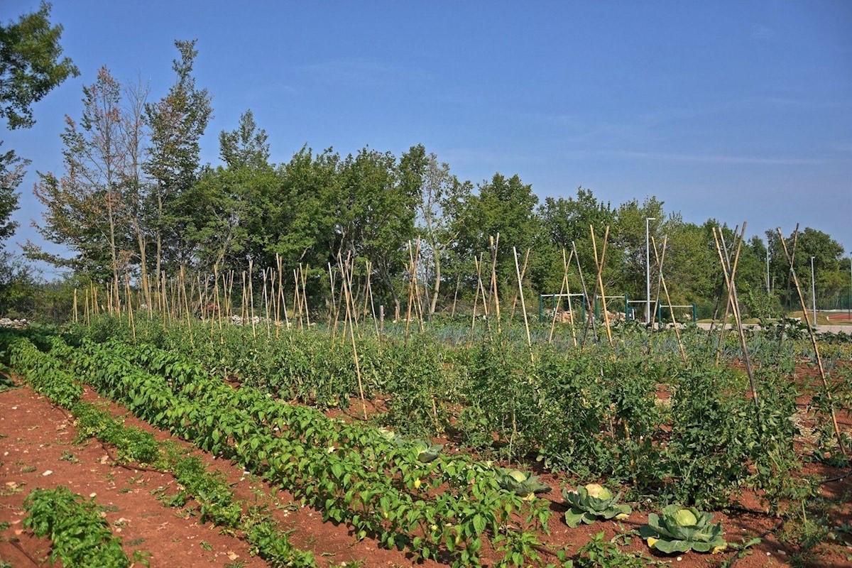 Samostojna vila z bazenom v celinski Istri, pogled na morje