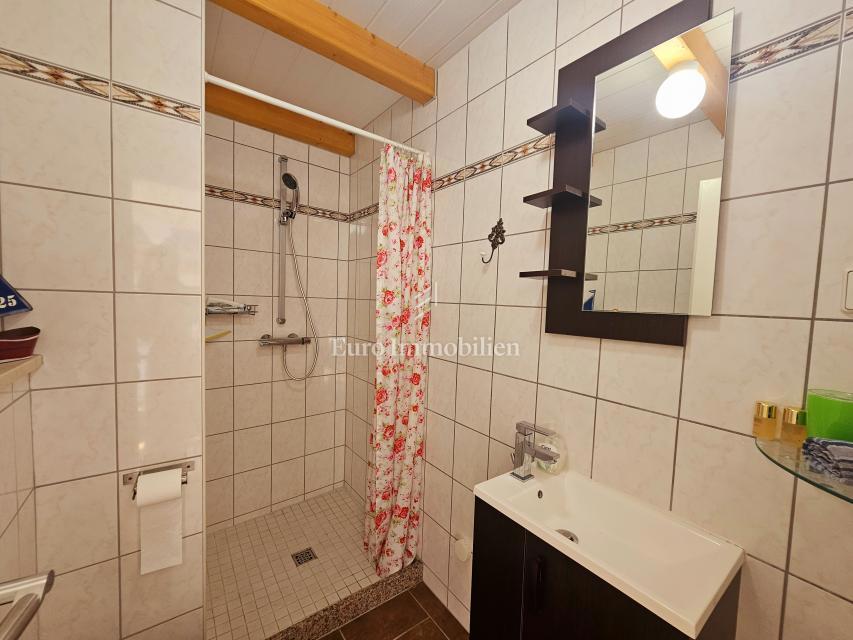 Dve hiši z lepim vrtom in bazenom!
