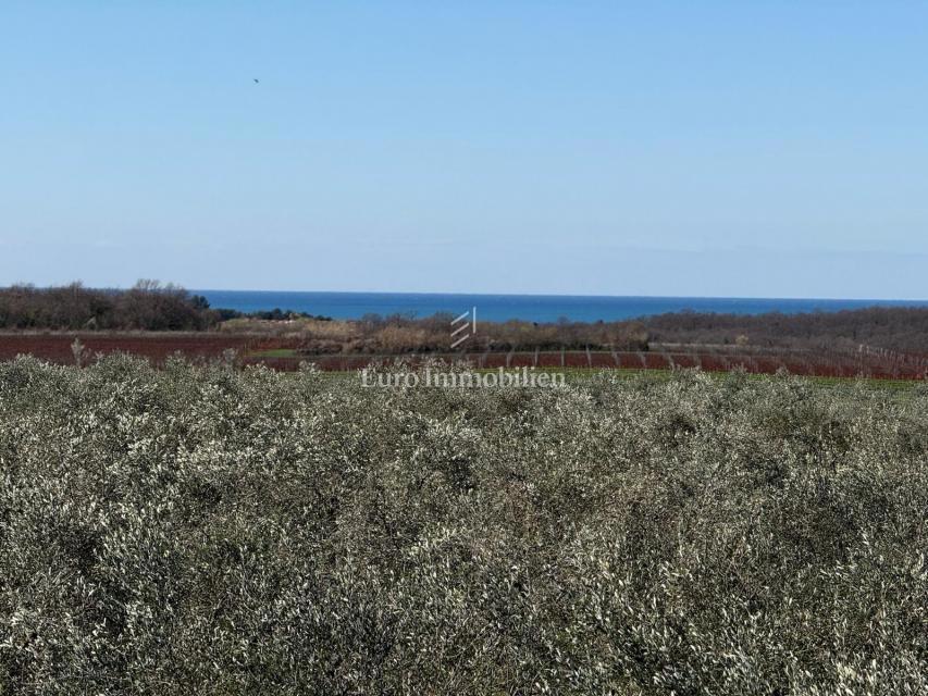 Istra - Hiša v mediteranskem slogu, pogled na morje