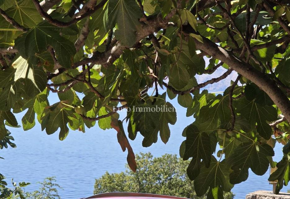 Novi Vinodolski, Smokvica Krmpotska, hiša z dvema apartmajema