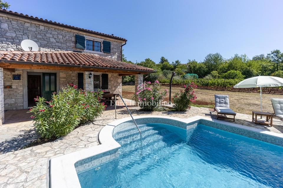 Kamnita vila z bazenom, obdana z naravo in vinogradi