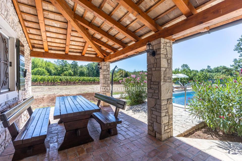 Kamnita vila z bazenom, obdana z naravo in vinogradi