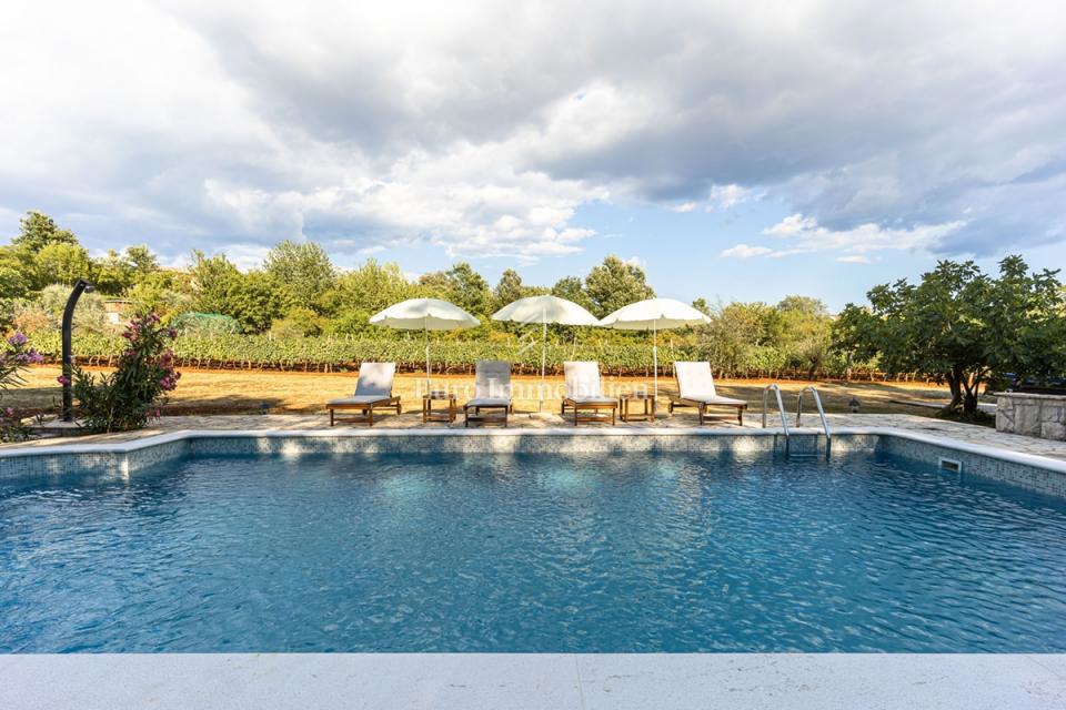 Kamnita vila z bazenom, obdana z naravo in vinogradi
