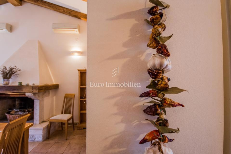 Enonadstropna hiša z vrtom in panoramskim pogledom na morje - Poreč