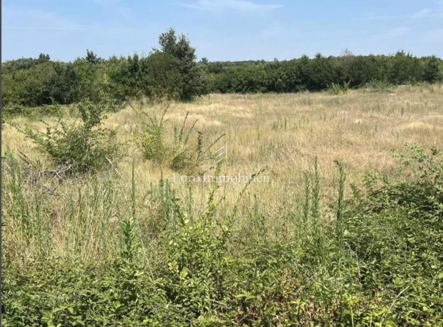 Istra, okolica Vodnjana, zazidljivo zemljišče z gradbenim dovoljenjem