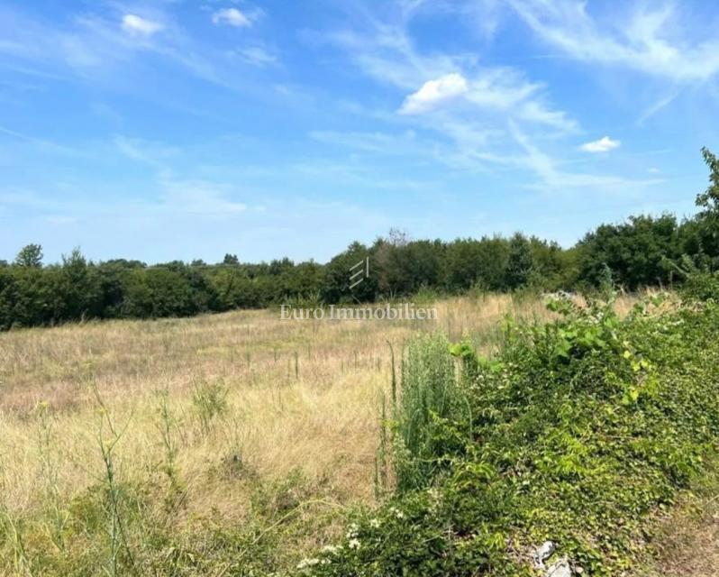 Istra, okolica Vodnjana, zazidljivo zemljišče z gradbenim dovoljenjem