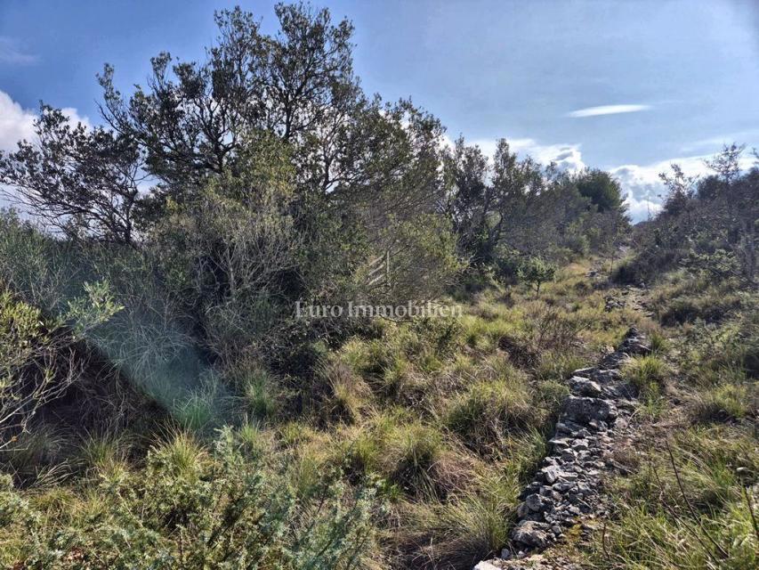 Betina, kmetijsko zemljišče v drugi vrsti do morja