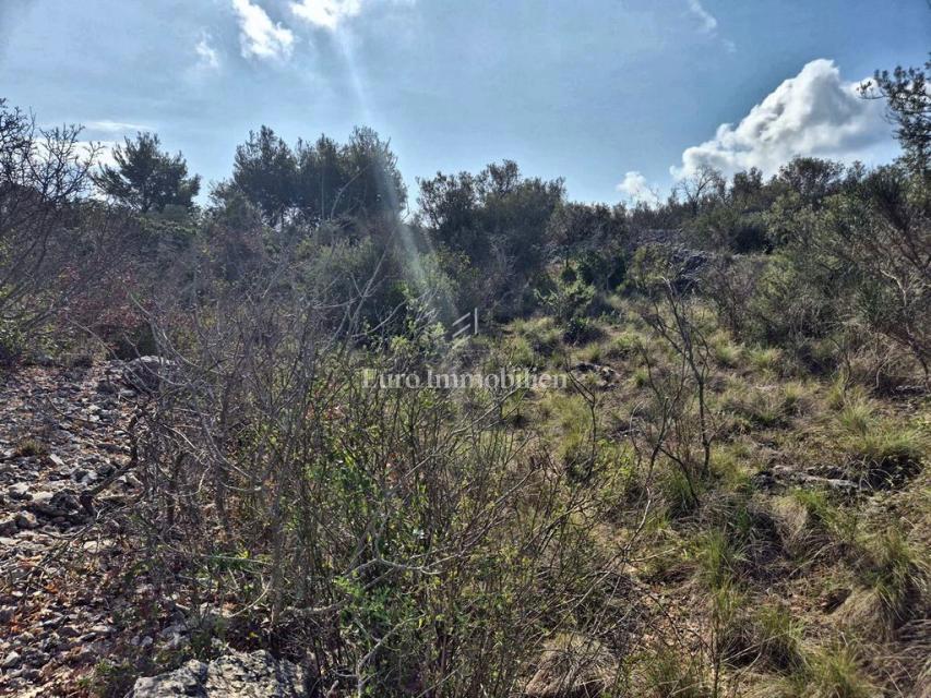 Betina, kmetijsko zemljišče v drugi vrsti do morja