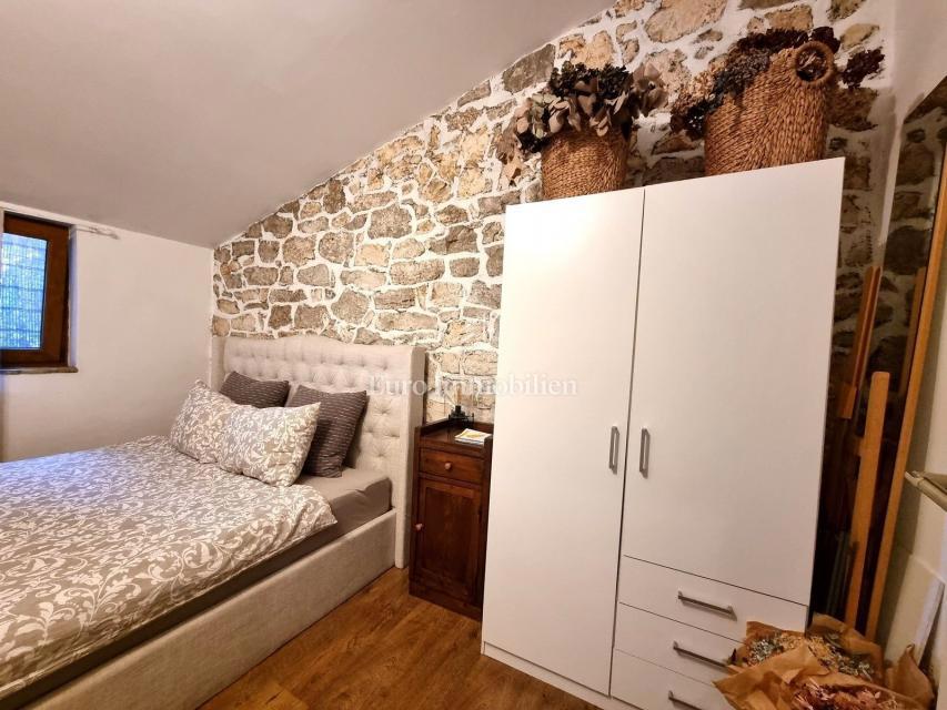 POREČ! Očarljiva kamnita hiša z dvema apartmajema