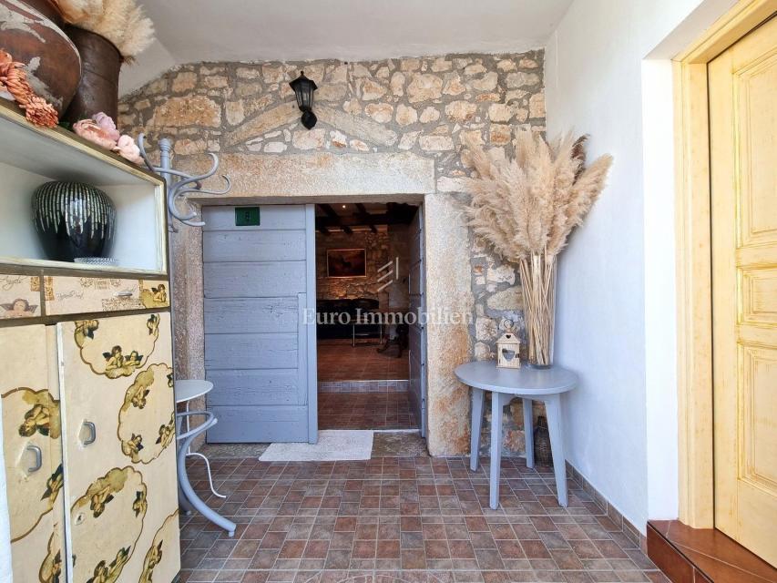 POREČ! Očarljiva kamnita hiša z dvema apartmajema