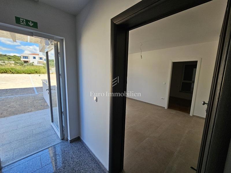 Novalja - apartma s teraso in vrtom