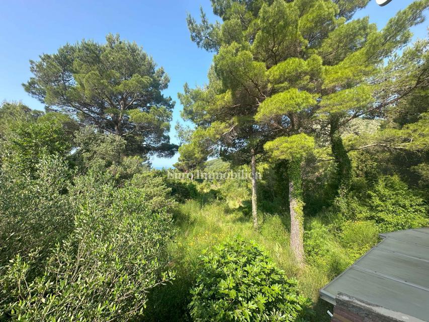 Makarska riviera - Hiša s pogledom na morje, mirna lokacija