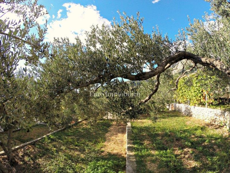 Veliko Brdo (Makarska) - hiša za najem