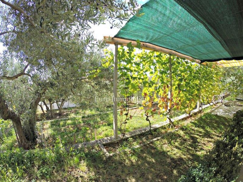 Veliko Brdo (Makarska) - hiša za najem