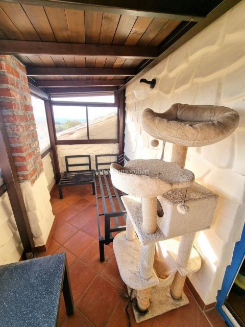 Kamnita hiša z bazenom in wellnessom pri Poreču