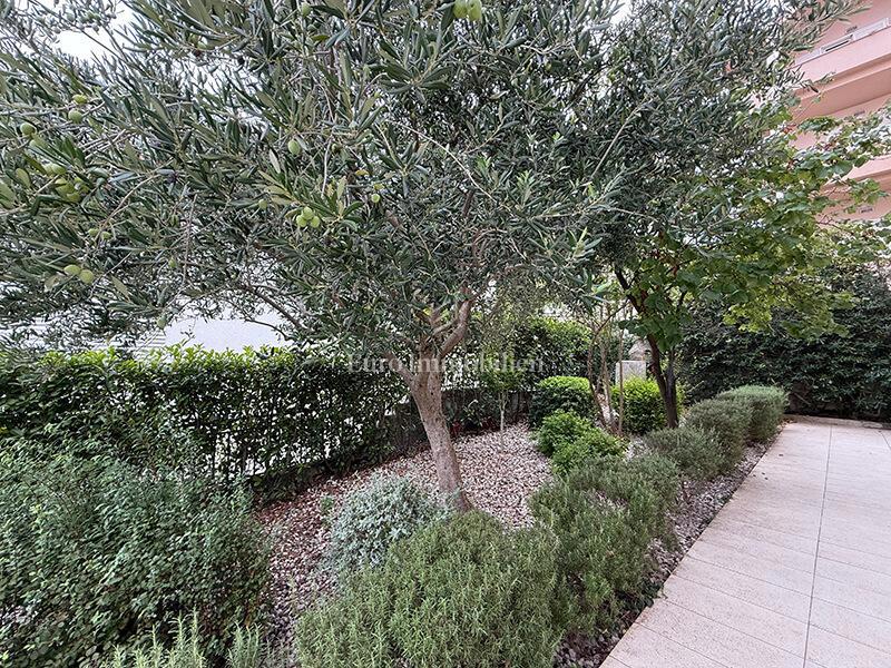 Dva apartmaja prvi red ob morju v Baški Vodi