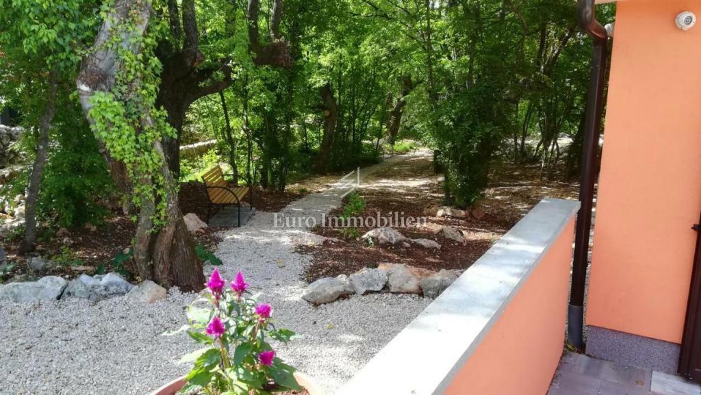 Samostojna hiša v naravi z velikim zemljiščem