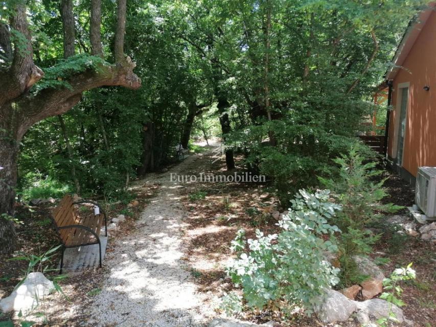 Samostojna hiša v naravi z velikim zemljiščem