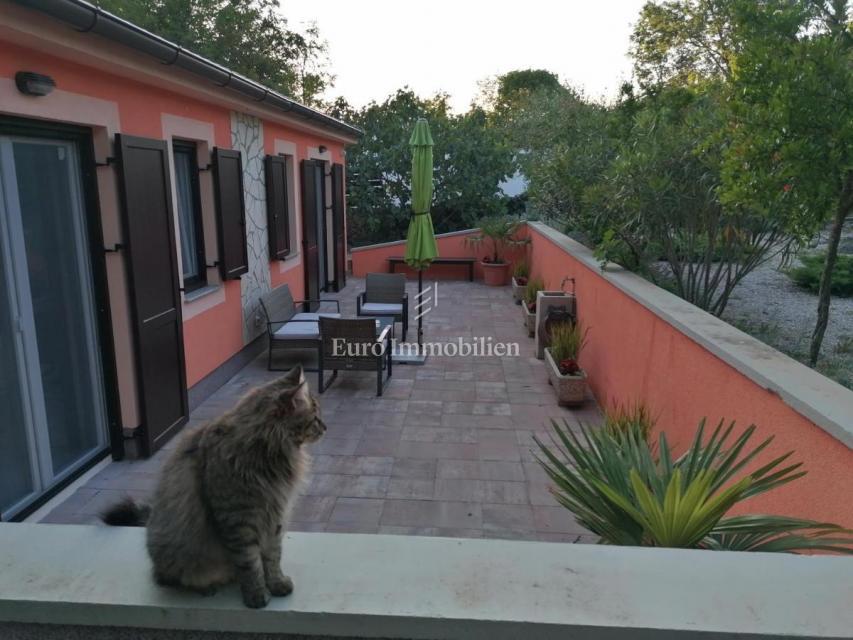 Samostojna hiša v naravi z velikim zemljiščem