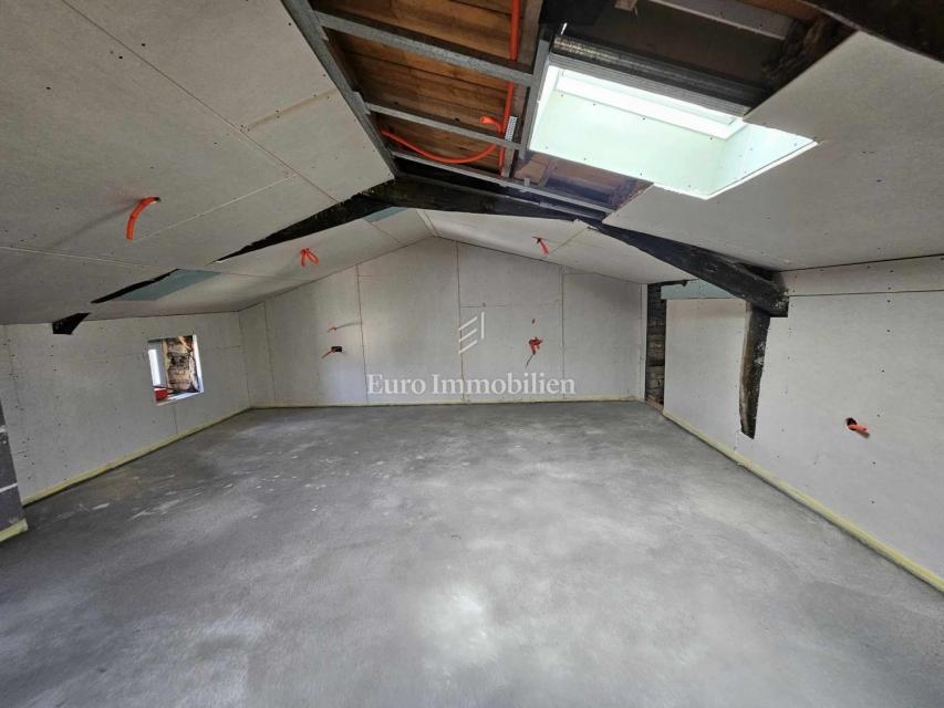 Avtentična istrska kamnita hiša z vrtom - Višnjan