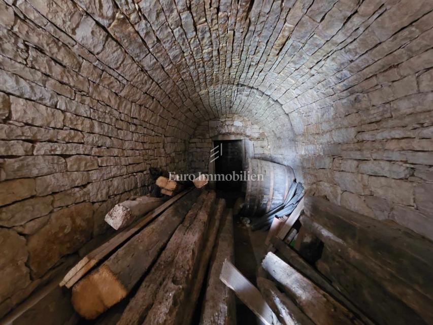 Avtentična istrska kamnita hiša z vrtom - Višnjan