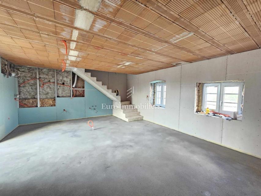 Avtentična istrska kamnita hiša z vrtom - Višnjan