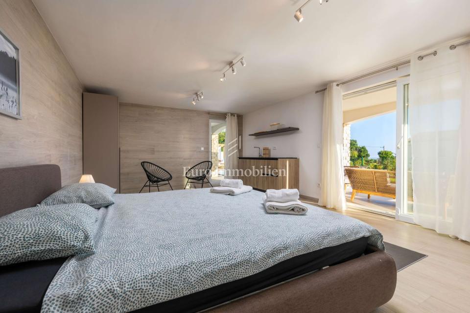 Istra - Vila z bazenom in panoramskim pogledom na morje