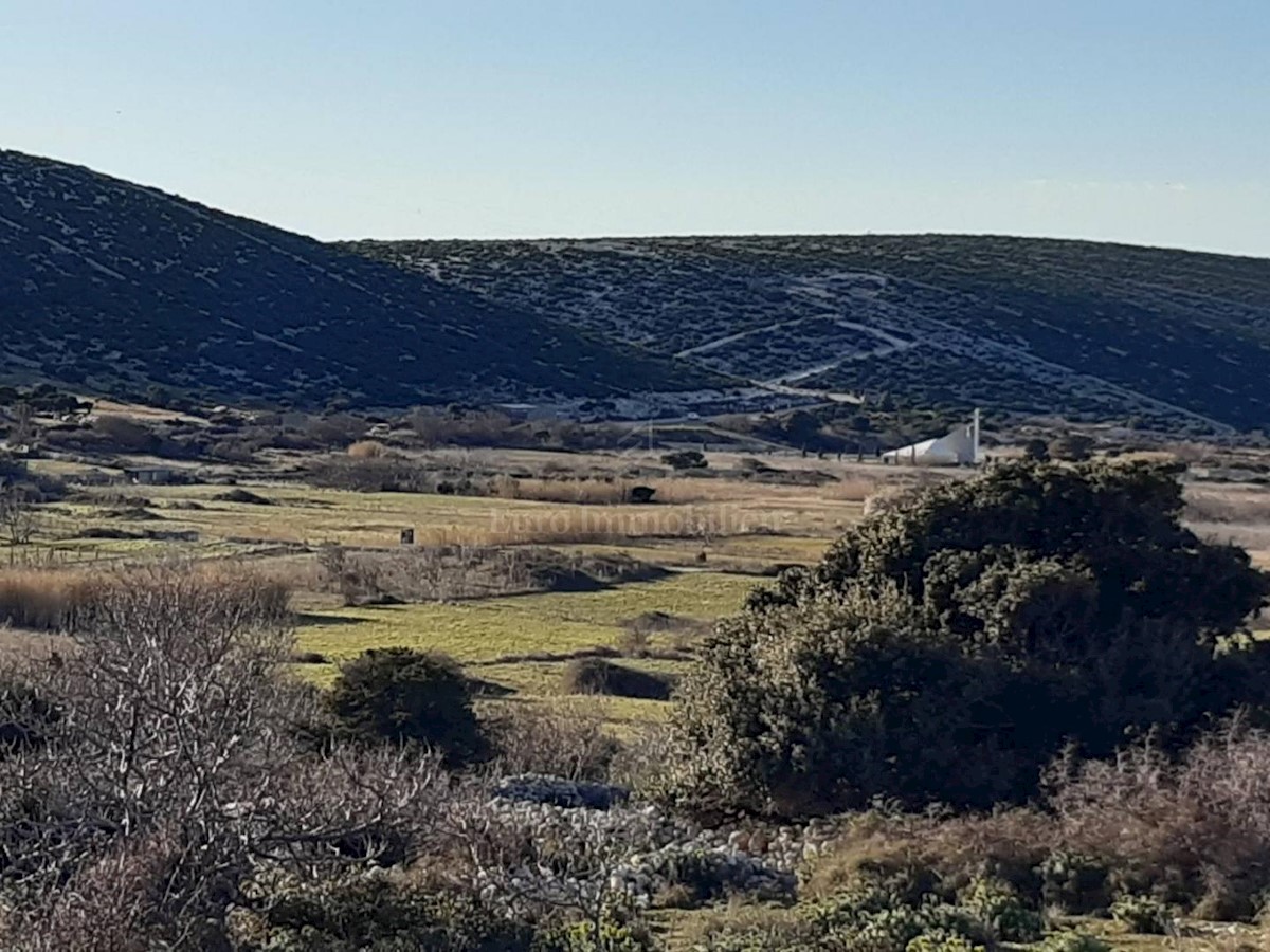 Zemljišče Kolan, Pag, 4.002m2