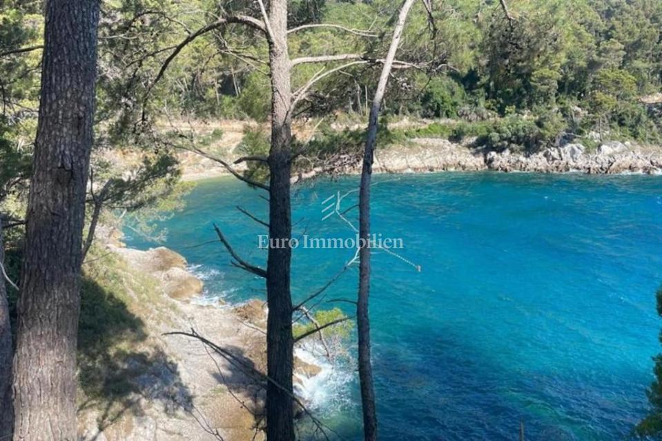 Luksuzna vila s fantastičnim pogledom na morje