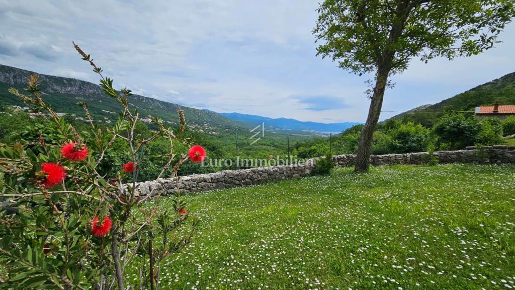 Hiša s 4000 m2 zemljišča