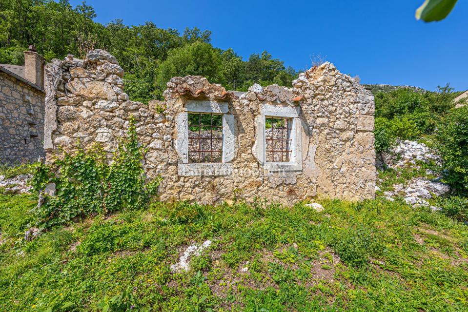 Hiša s 4000 m2 zemljišča