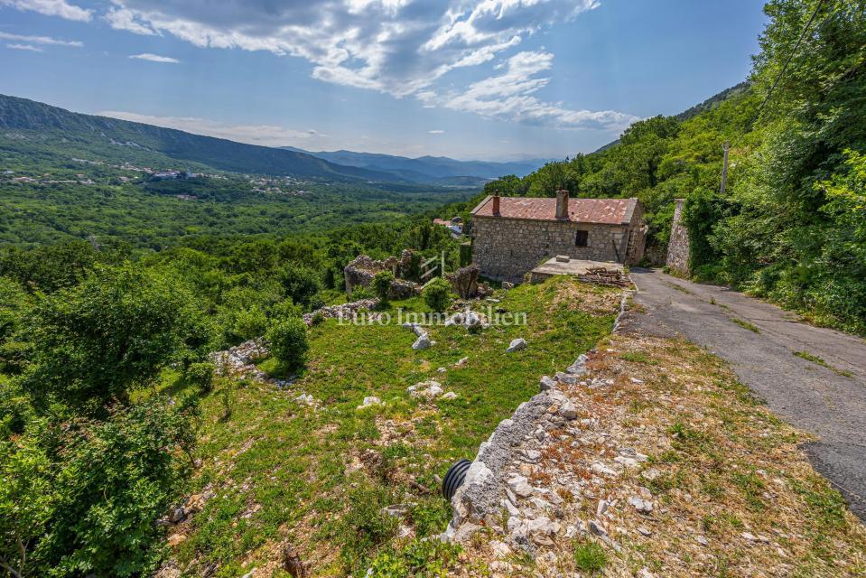 Hiša s 4000 m2 zemljišča