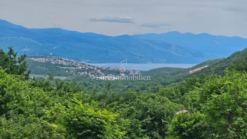 Hiša s 4000 m2 zemljišča