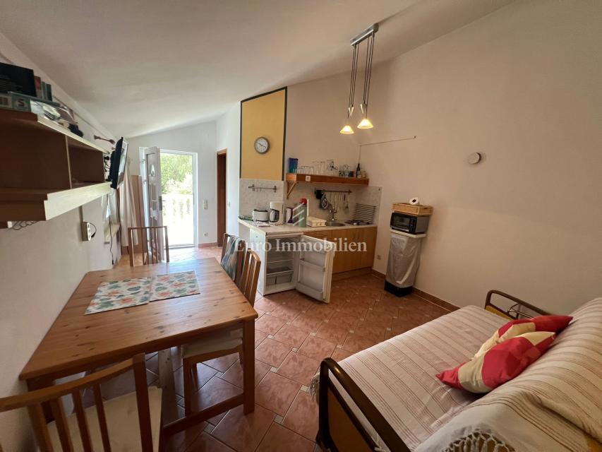 Pašman - hiša s tremi apartmaji