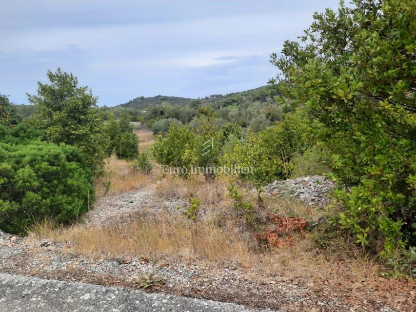 Dugi otok - lepo zemljišče 70 m od morja