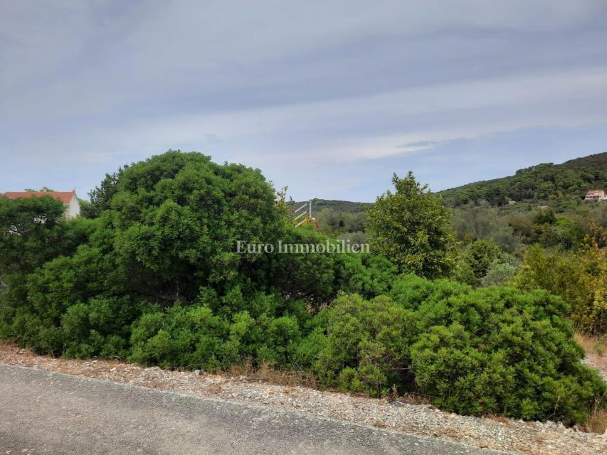 Dugi otok - lepo zemljišče 70 m od morja