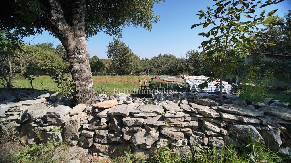 Kamnita hiša z vrtom - okolica Žminja