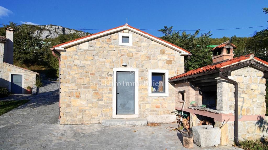 Istra - posestvo s štirimi kamnitimi hišami