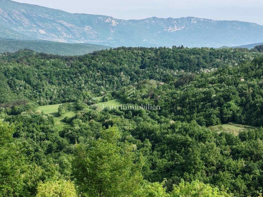 Cerovlje - istrska vas s kamnitimi stavbami