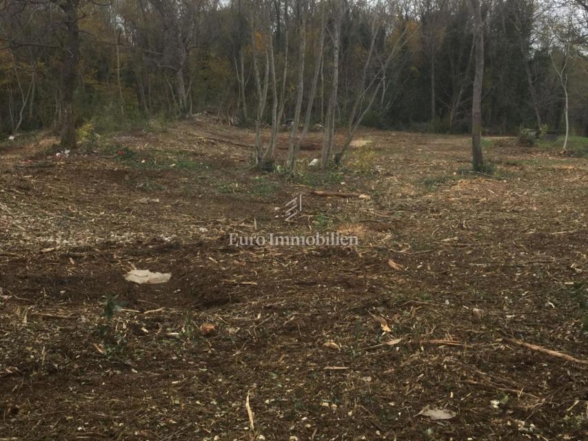 Istra, Kršan, gradbeno zemljišče 2.700m2