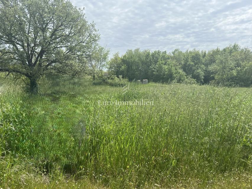 Istra, okolica Marčane, zazidljivo zemljišče