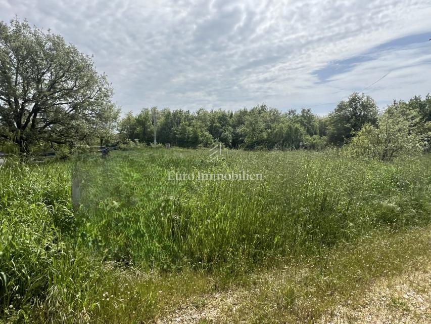 Istra, okolica Marčane, zazidljivo zemljišče