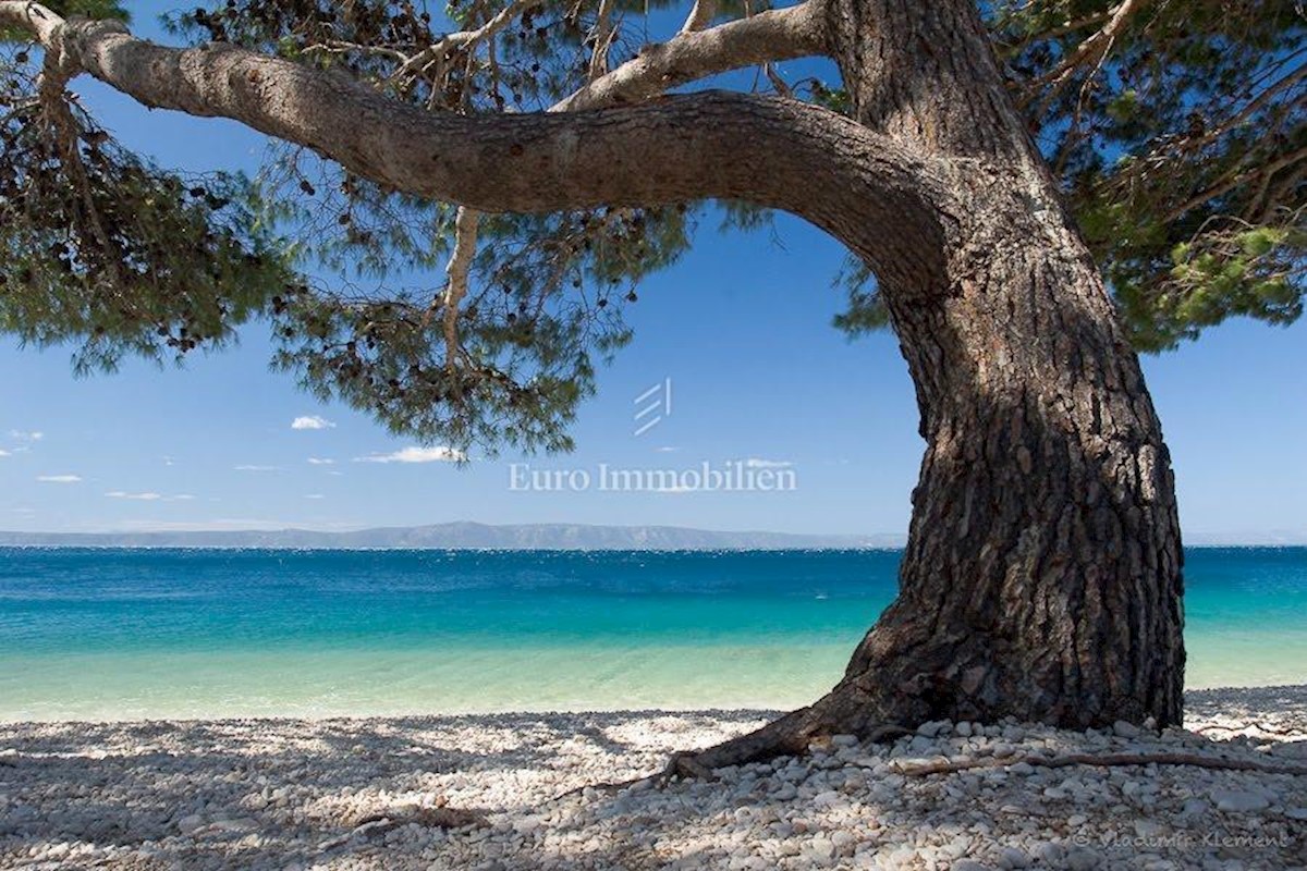 Prva vrsta do morja, apartma v Tučepih