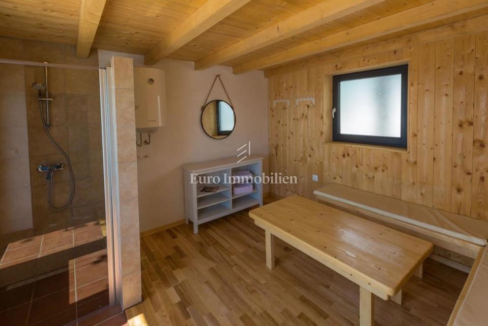 Samostojna hiša z bazenom Crikvenica