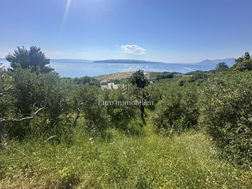 Makarska - gradbeno zemljišče s čudovitim razgledom