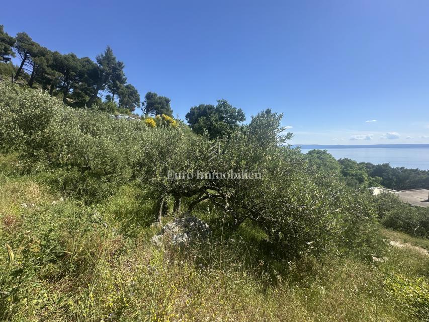 Makarska - gradbeno zemljišče s čudovitim razgledom