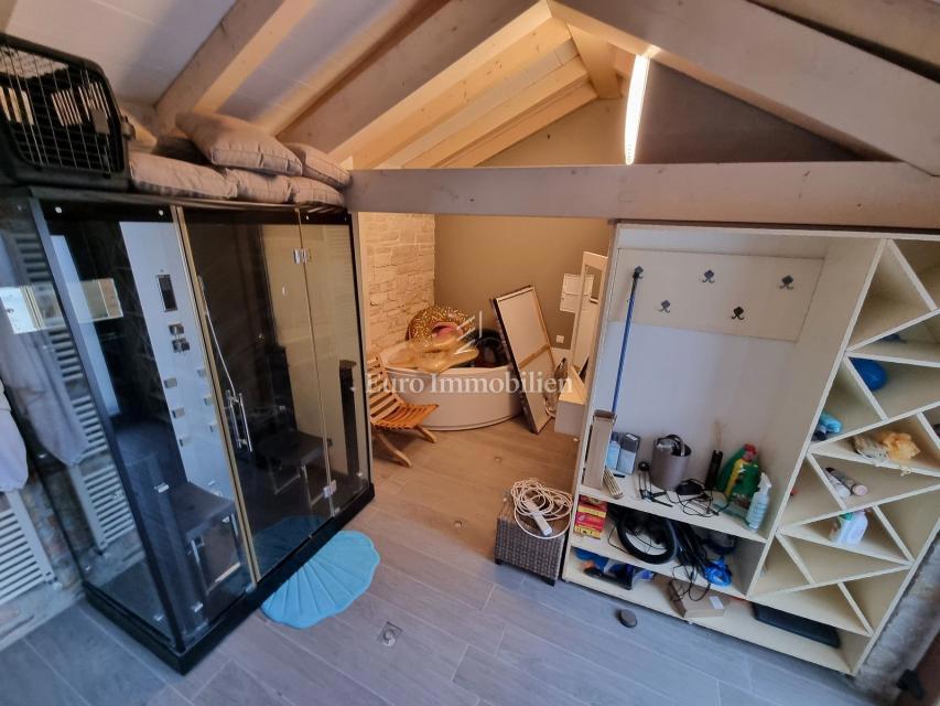 Kamnita hiša z bazenom in wellnessom pri Poreču