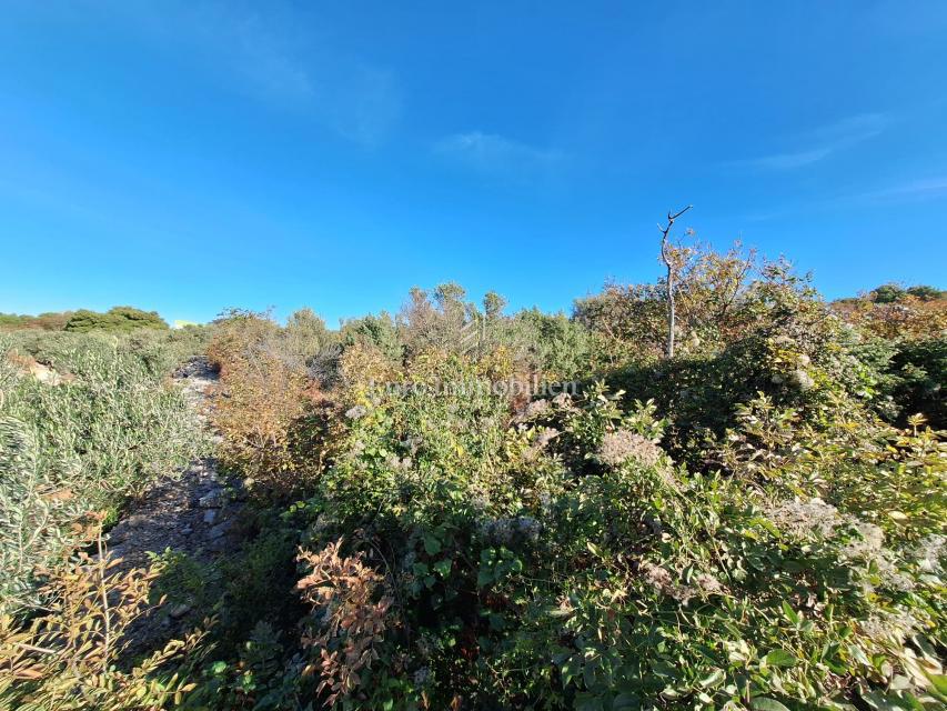 Kmetijsko zemljišče blizu morja, Punat